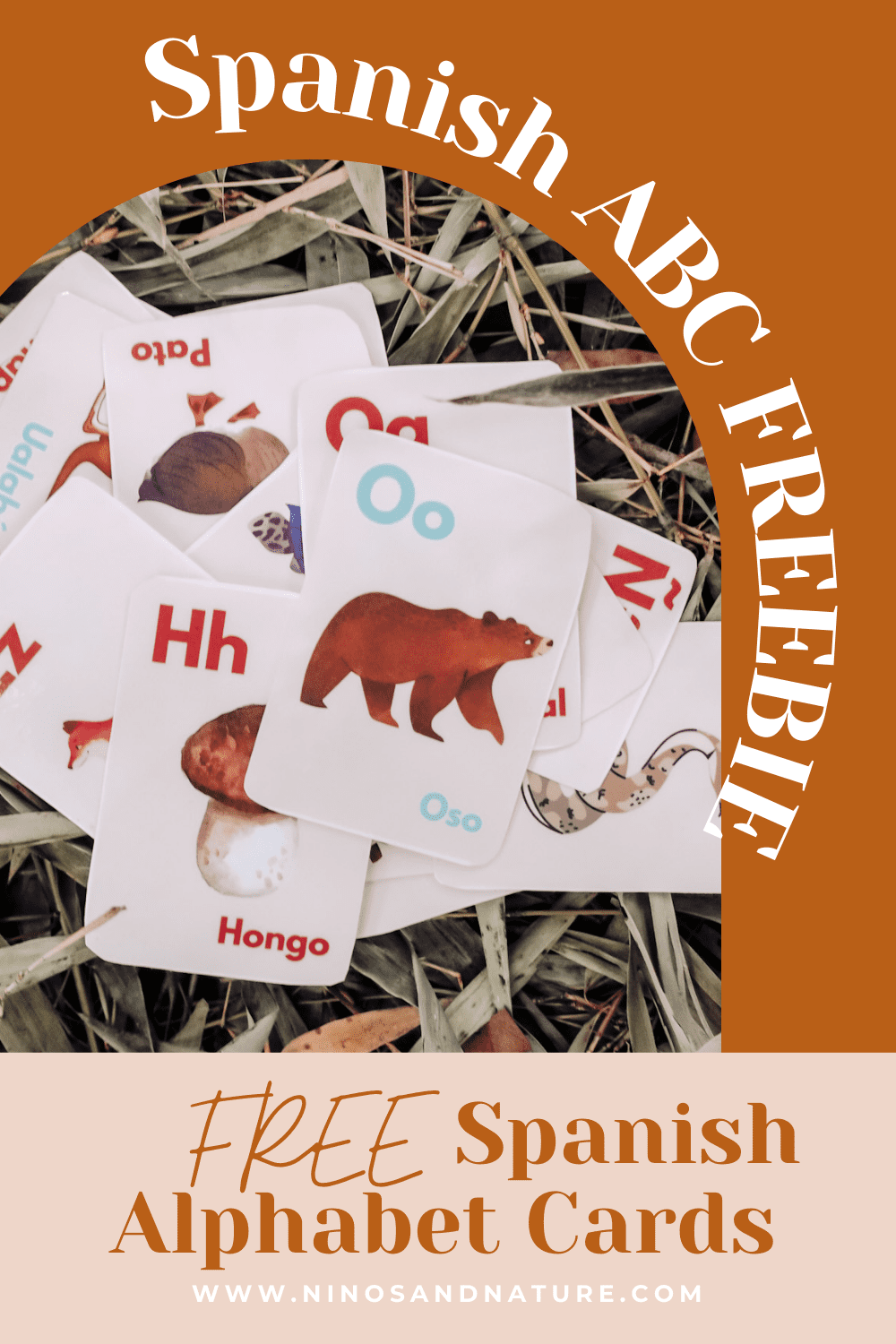 Free Spanish Alphabet Flashcards: Learn this fun Spanish alphabet song ...