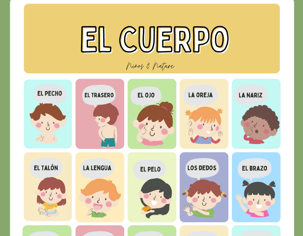 Learn the Body Parts in Spanish Free Spanish Worksheets Niños Nature