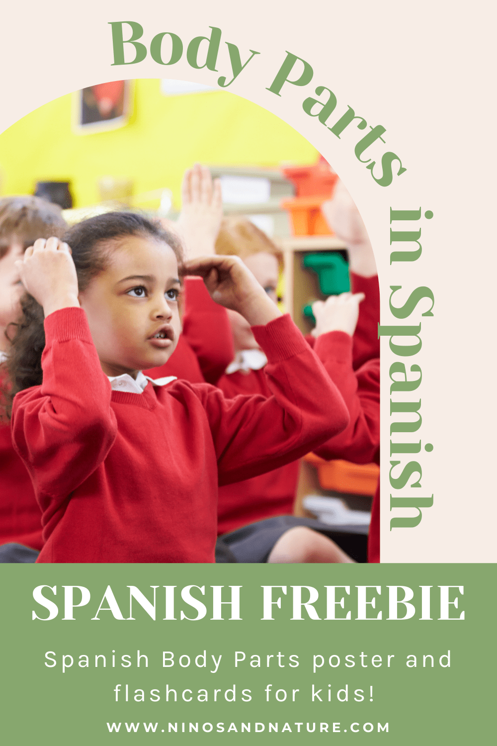 Learn the Body Parts in Spanish - Free Spanish Worksheets | Niños & Nature